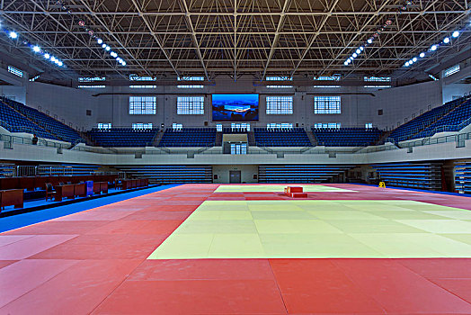 Sports mat